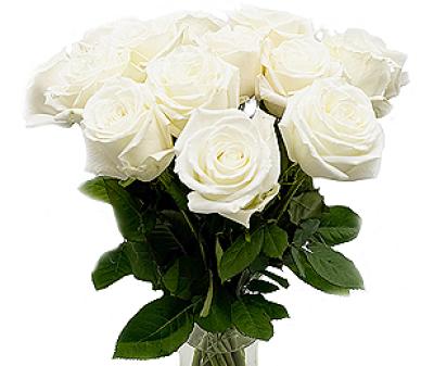 Vorschau des Gutschein-Designs 