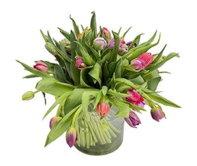 Vorschau des Gutschein-Designs 