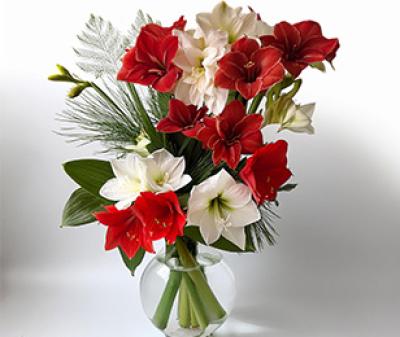 Vorschau des Gutschein-Designs 