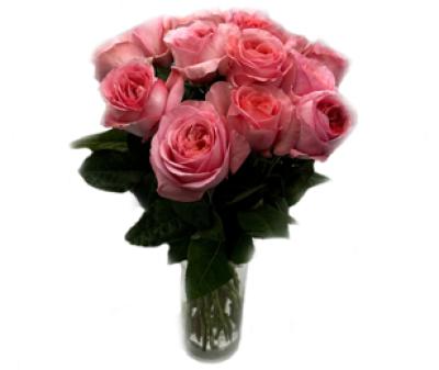 Vorschau des Gutschein-Designs 