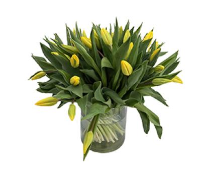 Vorschau des Gutschein-Designs 