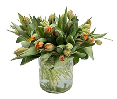 Vorschau des Gutschein-Designs 