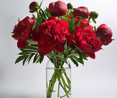 Vorschau des Gutschein-Designs 