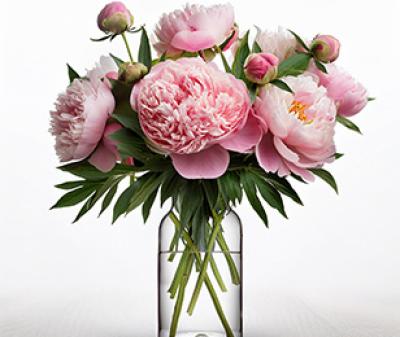 Vorschau des Gutschein-Designs 