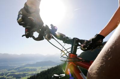 Vorschau des Gutschein-Designs 